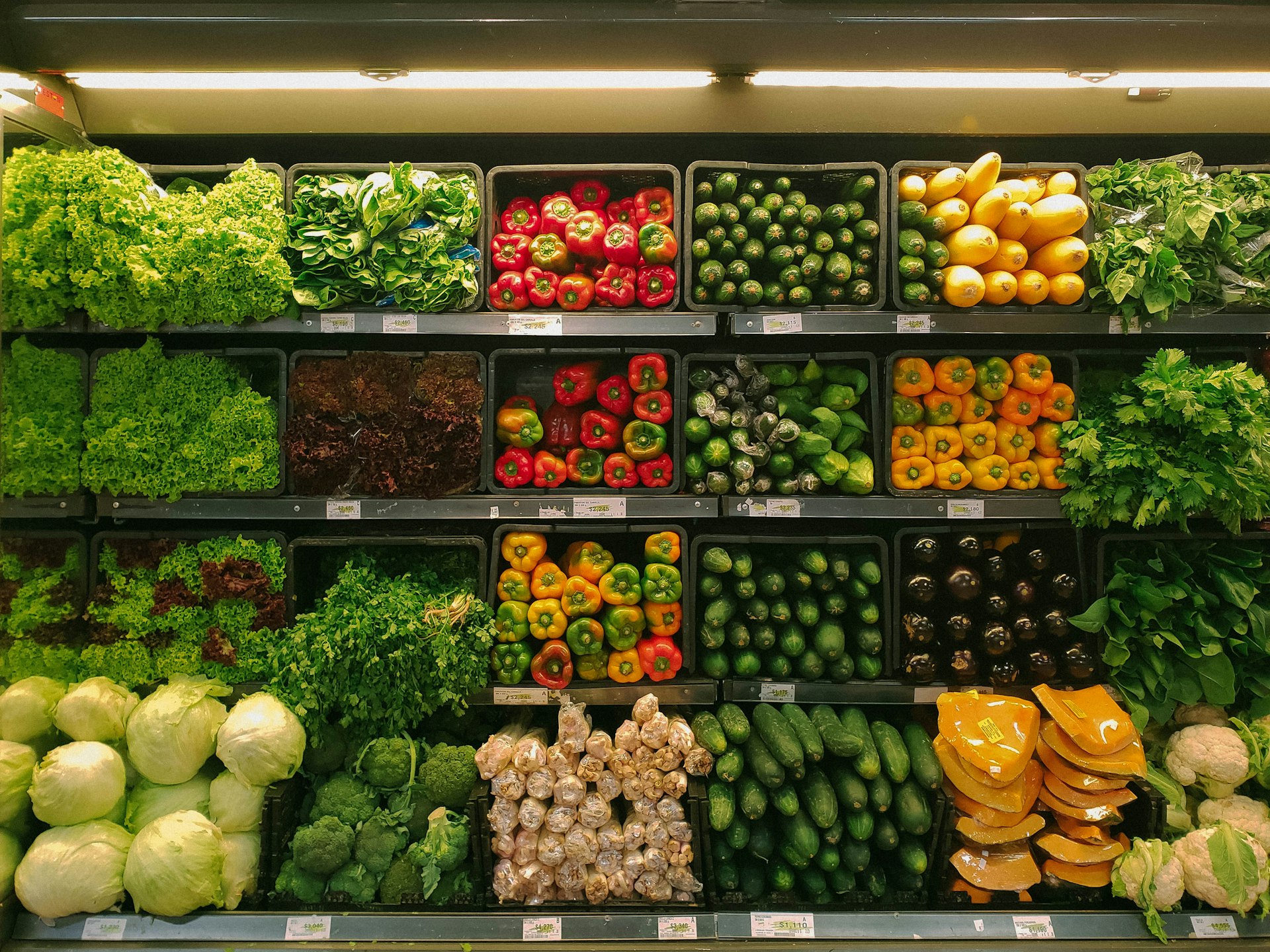 Reusable Shopping Bags & Sustainable Retail Packaging Market Analysis